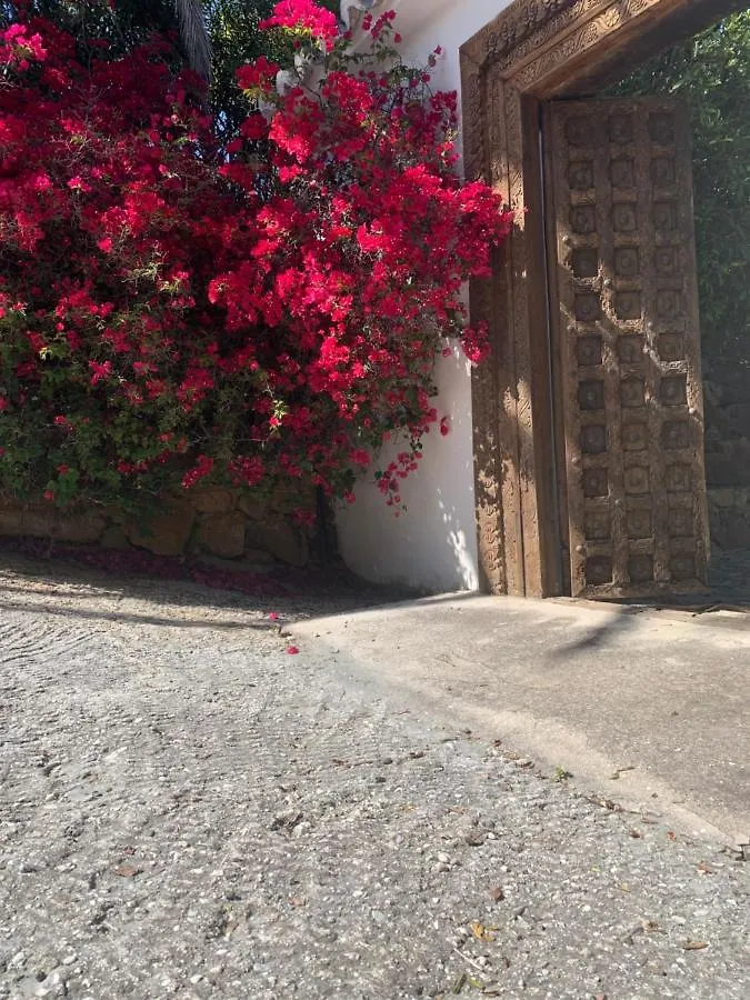 Finca Dariana Padel & Pool Alora Spain