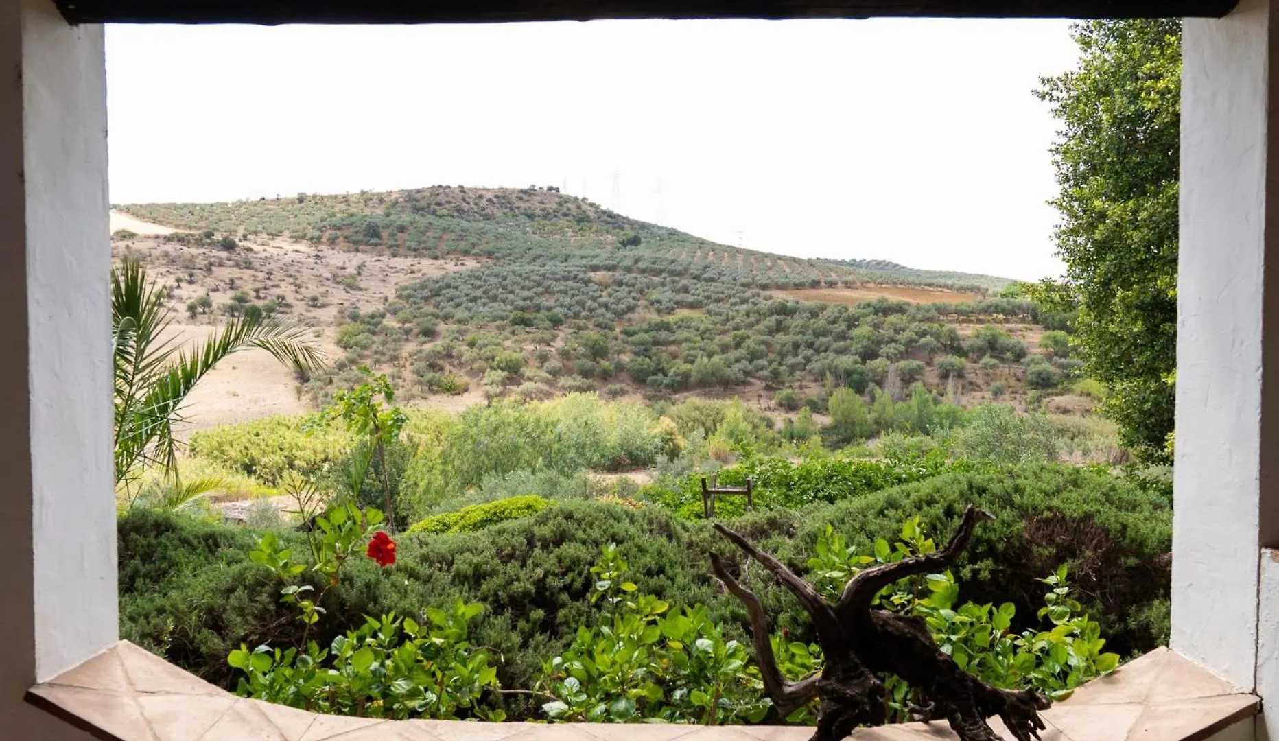Finca Dariana Padel & Pool Alora