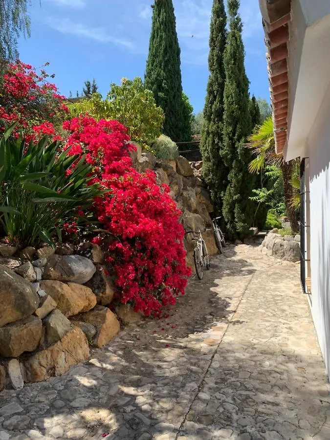 Finca Dariana Padel & Pool Guest House Alora Country house